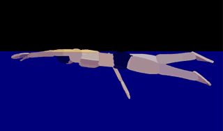 游泳图解指导(游泳从不会到精通)(5)