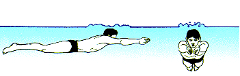 游泳图解指导(游泳从不会到精通)(3)