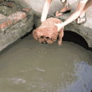 游泳图解指导(游泳从不会到精通)(2)