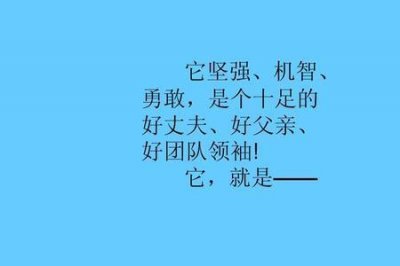 ​好丈夫成语大全