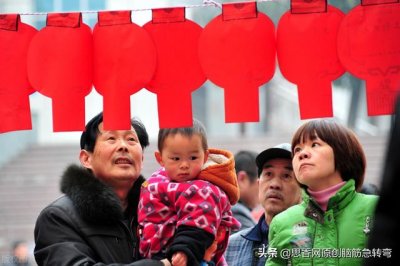 ​青树结青瓜的谜语谜底（青梗绿叶开黄花）