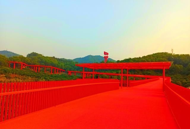 深圳湾那个拍照桥叫什么桥