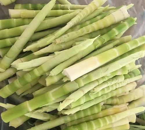 干的细长的笋是竹笋还是卢笋啊