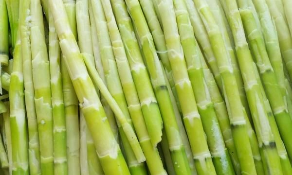 有一种笋顶上像网一样的是啥笋