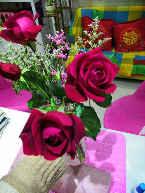 玫瑰花剪了枝该怎么种才能种活呢-(剪下的玫瑰花枝怎样才能栽活)(图1) 玫瑰花剪了枝该怎么种才能种活呢-(剪下的玫瑰花枝怎样才能栽活)(图1)