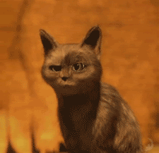 农夫山泉矿泉水真的是山泉水吗(你平常喝的农夫山泉竟不是矿泉水)(4)