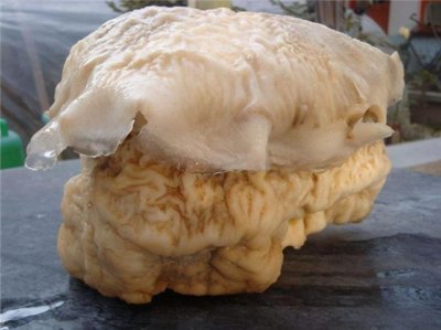 ​太岁头上动土啥意思（怎么理解太岁头上动土）