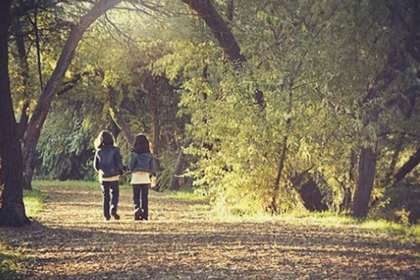 书院有哪些确定?清点世界十大奇异的书院确定