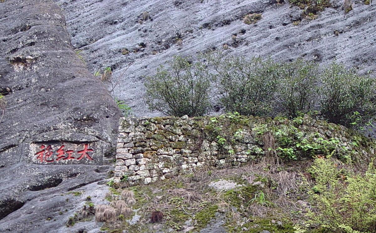 中国最贵的茶叶大红袍(大红袍属于什么茶)(图2) 中国最贵的茶叶大红袍(大红袍属于什么茶)(图2)