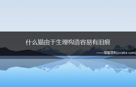 什么猫由于生理构造容易有泪痕