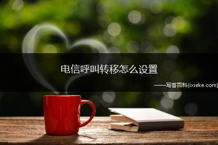 电信呼叫转移怎么设置（电信呼叫转移可以点击手机通话记录中的来电转移）