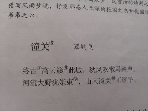 潼关古诗翻译(潼关古诗原文及翻译)