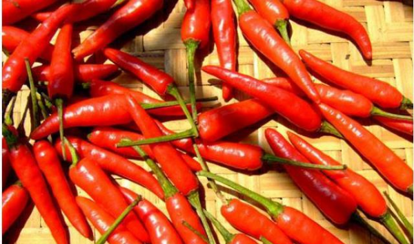 剁辣椒怎么保存不变质,自己制作的剁椒酱怎样才能保证它不变质不长毛不坏图4