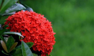 ​法律的由来,法律的来历50字