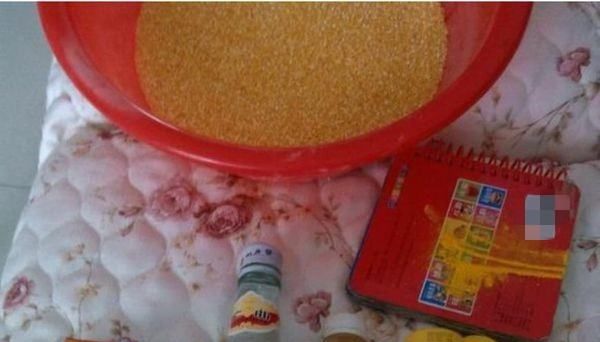 玉米怎么发酵做窝料,甜酒曲玉米窝料的制作方法图5