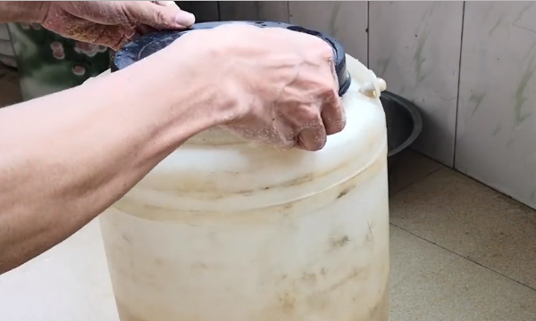 玉米怎么发酵做窝料,甜酒曲玉米窝料的制作方法图13