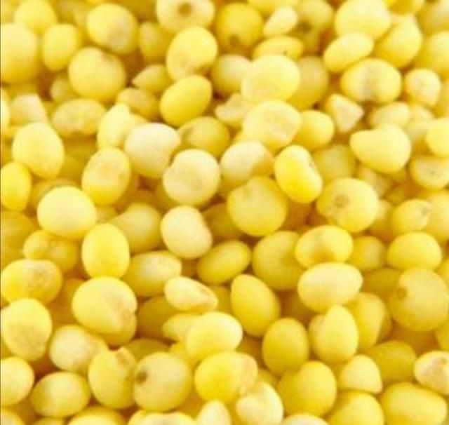 稻子是什么米，稻子谷子麦子糜子，分别是什么？图8