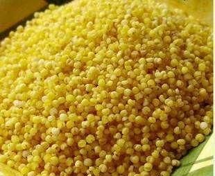 稻子是什么米，稻子谷子麦子糜子，分别是什么？图4