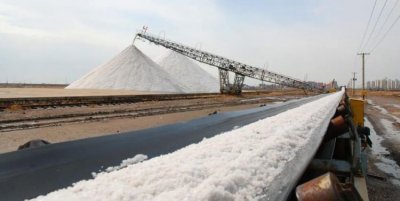 ​长芦盐场，天津长芦汉沽盐场有限责任公司介绍？