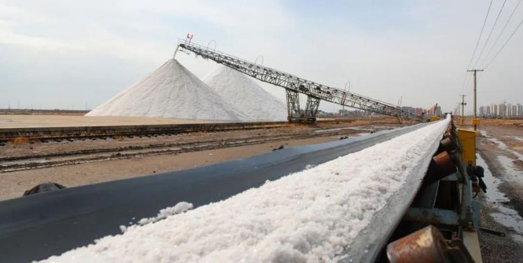 天津长芦汉沽盐场有限责任公司介绍