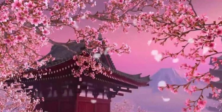 大林寺桃花唐白居易人间四月芳菲尽的意思