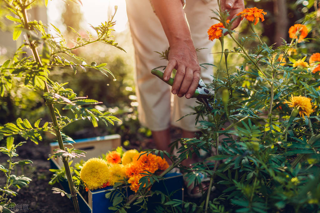 中老年消费市场大有作为！能否成为下一个“蓝海”？