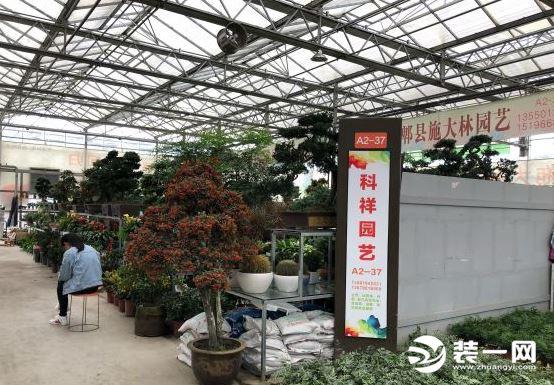 成都花鸟市场在哪里啊（成都最大最便宜的花卉市场在哪里）(3)