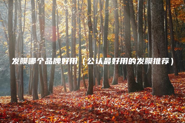 发膜哪个品牌好用(公认最好用的发膜推荐)