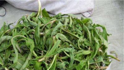 ​灌南苦菜的功效与作用,苦菜有什么功效