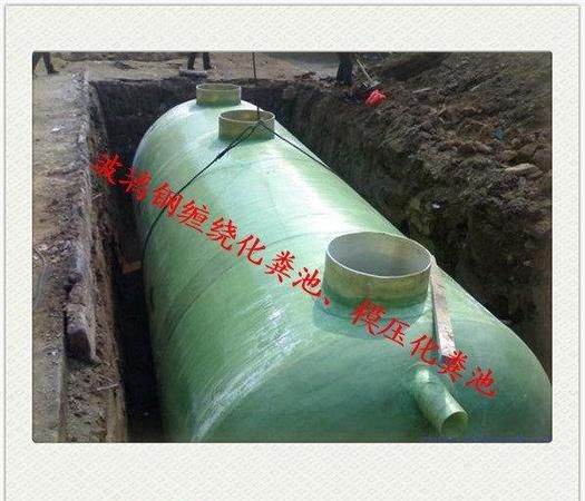 化粪池旁边可以种什么