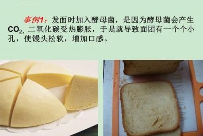 ​酵母菌发酵，酵母菌只有在无氧环境下才能发酵的目的是什？