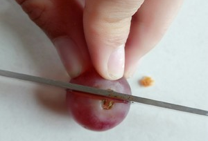 葡萄放冰箱冷冻能吃,葡萄可以放冰箱冷冻保存吗图4