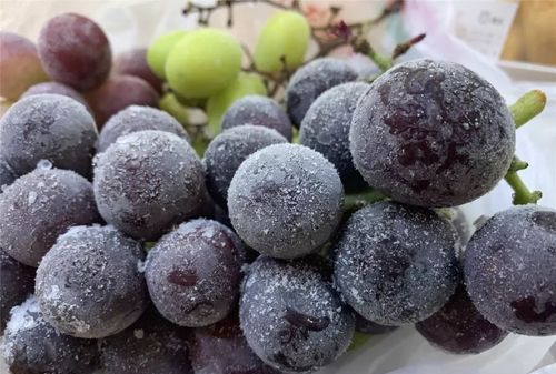 葡萄可以放冰箱冷冻保存吗