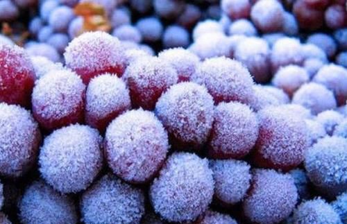 葡萄可以冷冻保存吗?