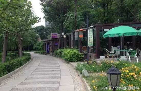 520表白日可以试试这个套路(520表白日你想怎么过)(7)