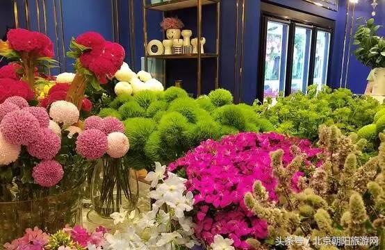 520表白日可以试试这个套路(520表白日你想怎么过)(3)