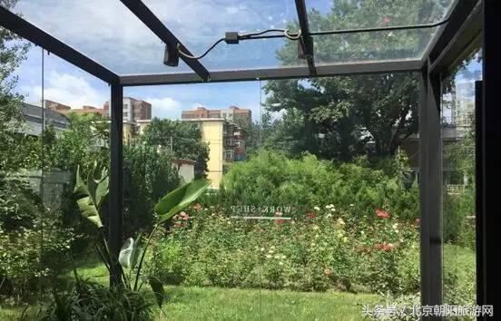 520表白日可以试试这个套路(520表白日你想怎么过)(2)