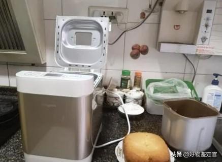 东菱面包机做面包的（测评自制面包打卡）(4)