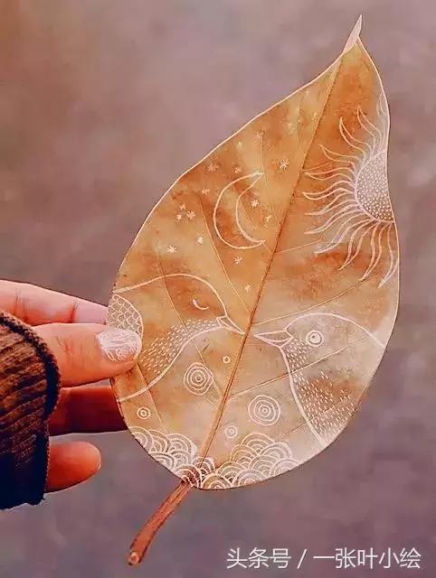 树叶拼贴画简单易懂 2步制作树叶拼贴画(12)