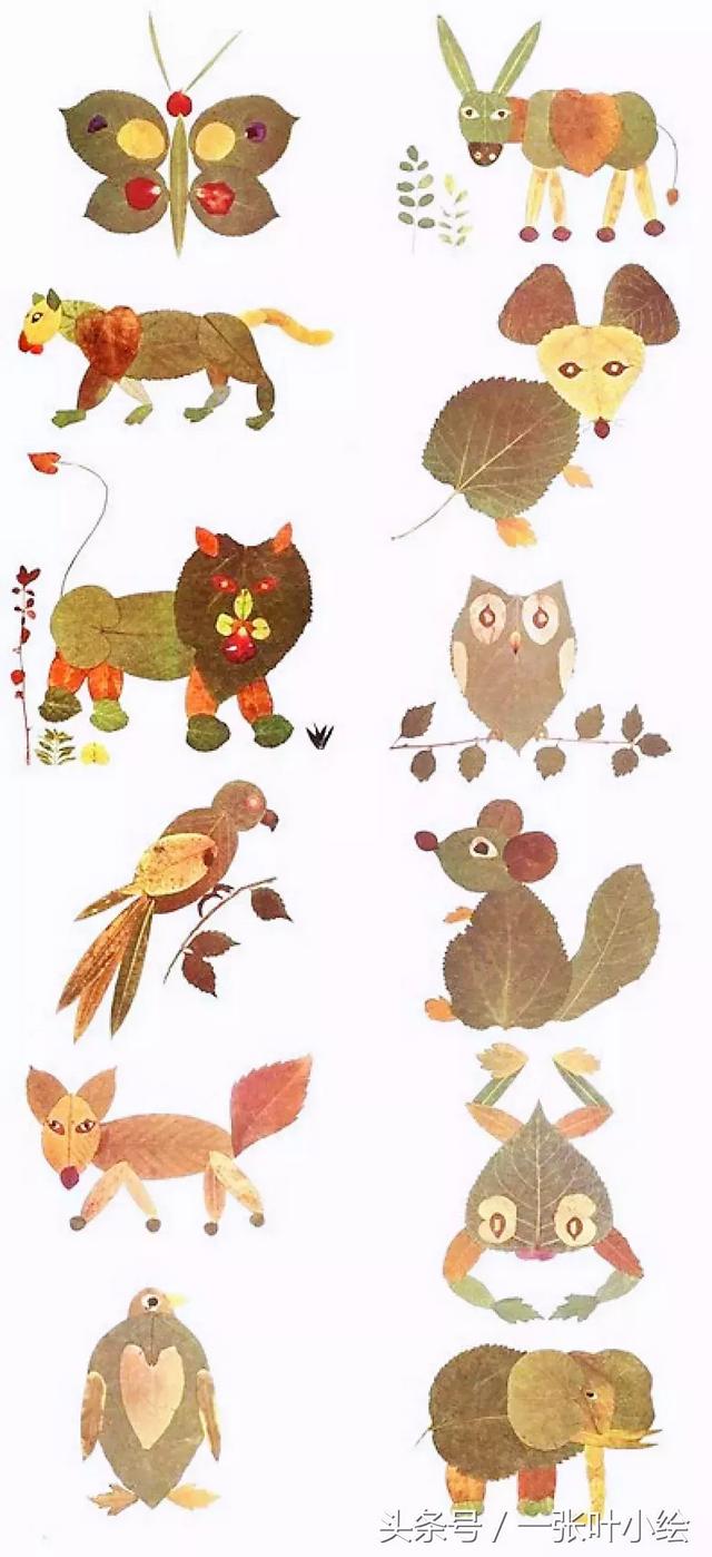 树叶拼贴画简单易懂 2步制作树叶拼贴画(8)