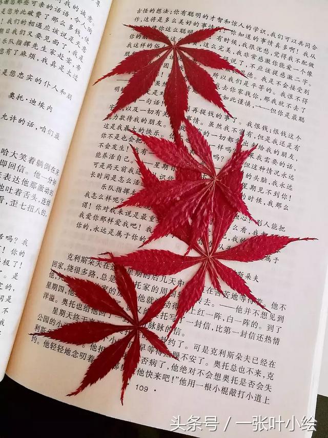 树叶拼贴画简单易懂 2步制作树叶拼贴画(1)