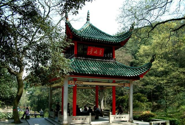 977是什么意思抖音,长期理财应该买什么产品?图8