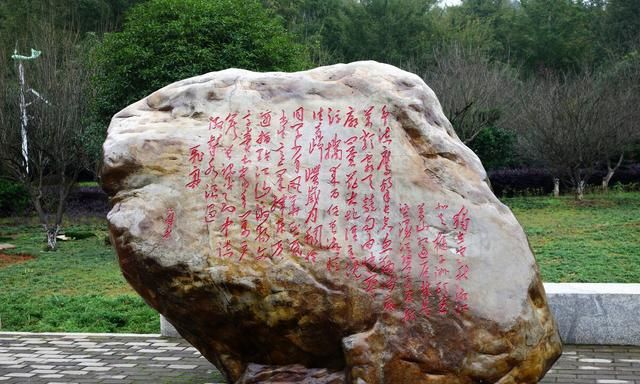 977是什么意思抖音,长期理财应该买什么产品?图15