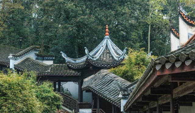 977是什么意思抖音,长期理财应该买什么产品?图6