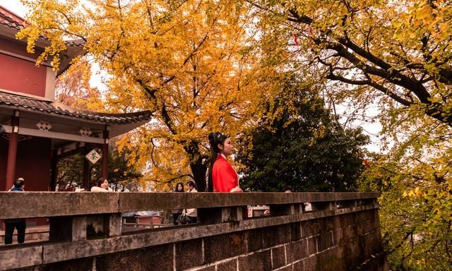 977是什么意思抖音,长期理财应该买什么产品?图10