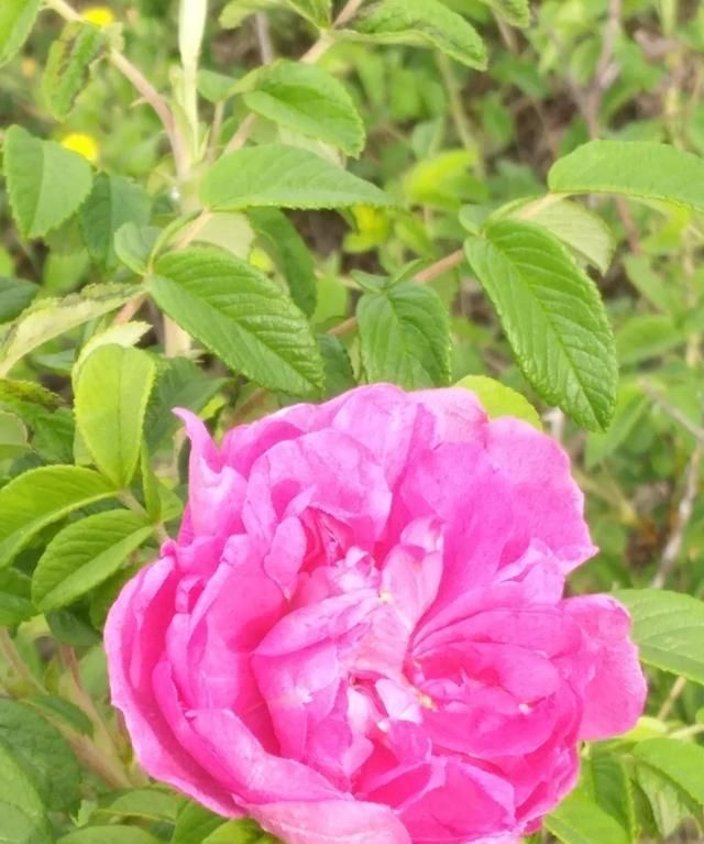 如何控制自己的情绪,教师课堂上如何控制自己的情绪?图6