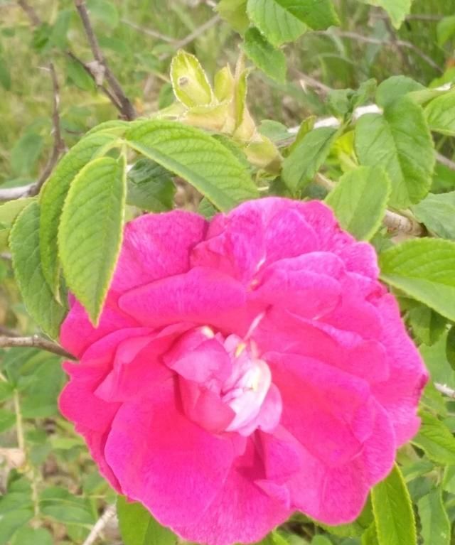 如何控制自己的情绪,教师课堂上如何控制自己的情绪?图4