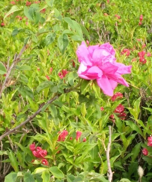 如何控制自己的情绪,教师课堂上如何控制自己的情绪?图5