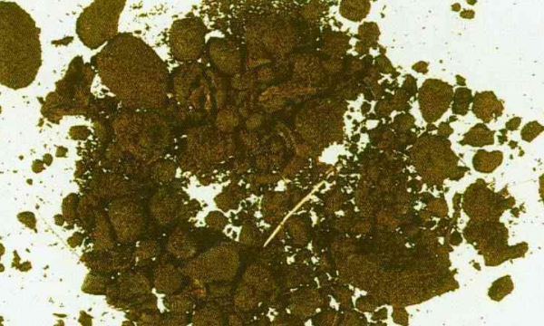 麝香与什么味相近,麝香味是什么意思图4