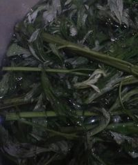 艾蒿煮鸡蛋会吃中毒吗,艾叶煮鸡蛋小孩可以吃图8